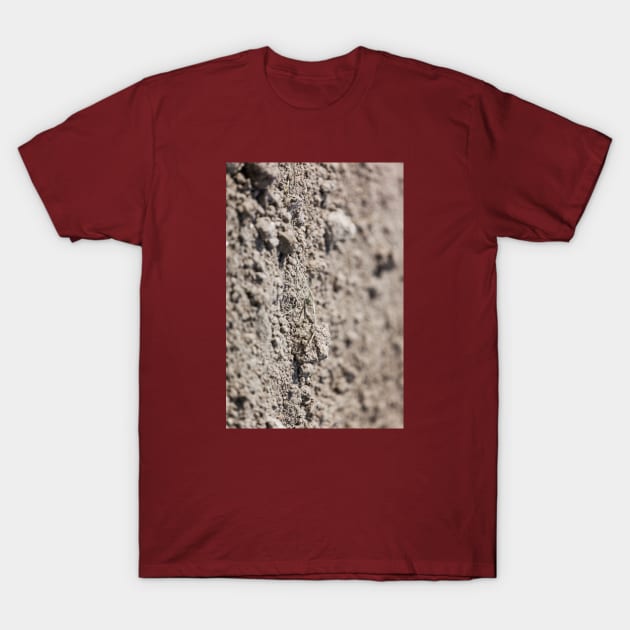 Dried Dirt Rubble Surface With Green Grass Stem T-Shirt by textural